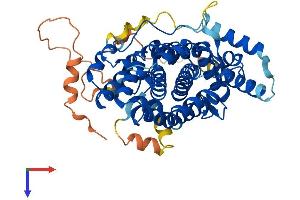 Sestrin 2 Protein (SESN2) (AA 1-480) (His tag)