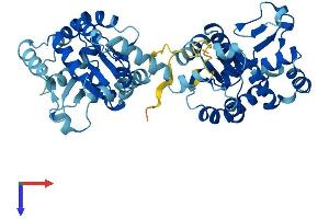 AK8 Protein (AA 1-479) (His tag)
