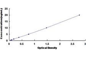 Typical standard curve (FLCN ELISA Kit)