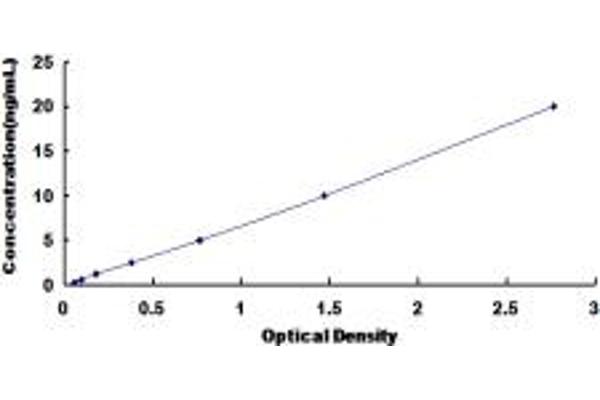 FLCN ELISA Kit
