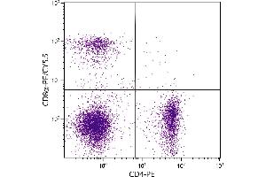 BALB/c mouse splenocytes were stained with Rat Anti-Mouse CD8α-PE/CY5. (CD8 alpha Antikörper  (PE-Cy5.5))