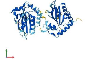 AlphaFold protein structure predicition of Human Recombinant APOBEC3B Protein, UniprotID Q9UH17