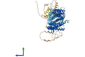 Protein Structure (PS) image for Adenylate Cyclase 1 (Brain) (ADCY1) (AA 1-1119) protein (His tag) (ABIN7551951)