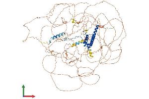 Protein Structure (PS) image for Chromosome 11 Open Reading Frame 30 (C11orf30) (AA 1-1264) protein (His tag) (ABIN7564393)