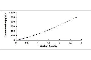 Typical standard curve (MMP13 ELISA Kit)