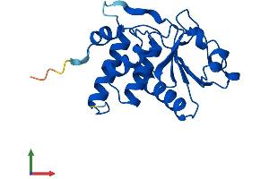 Protein Structure (PS) image for Dual Specificity Phosphatase 3 (DUSP3) (AA 1-185) protein (His tag) (ABIN7547217)