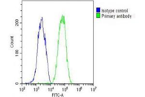 Overlay histogram showing HepG2 cells stained with (ABIN654065 and ABIN2843962) (green line).