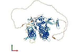 Protein Structure (PS) image for WW Domain Containing E3 Ubiquitin Protein Ligase 2 (WWP2) (AA 1-870) protein (His tag) (ABIN7556045)