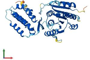 AlphaFold protein structure predicition of Mouse Recombinant Eef2kmt Protein, UniprotID Q3UZW7 (EEF2KMT (AA 1-335) protein (His tag))