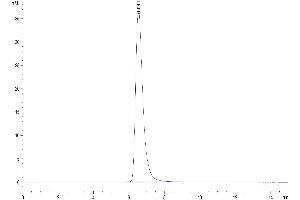 Size-exclusion chromatography-High Pressure Liquid Chromatography (SEC-HPLC) image for AXL Receptor tyrosine Kinase (AXL) (AA 26-449) protein (His-Avi Tag,Biotin) (ABIN7273885)