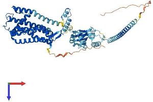 CNGA4 Protein (AA 1-575) (His tag)