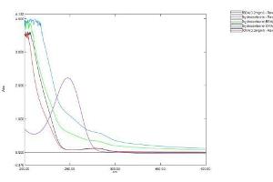 Image no. 1 for Cortisol protein (BSA) (ABIN3201195)