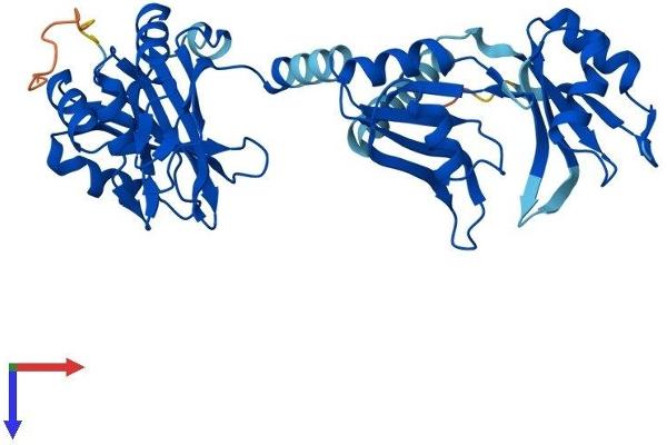 PABPC5 Protein (AA 1-382) (His tag)