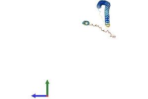 Protein Structure (PS) image for Family with Sequence Similarity 9, Member C (FAM9C) (AA 1-166) protein (His tag) (ABIN7547557)