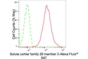 Flow cytometric analysis of Solute carrier family 29 member 2 expression in HepG2 cells using Solute carrier family 29 member 2 antibody (ABIN7800394), 1:2,000).