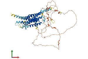 Protein Structure (PS) image for G Protein-Coupled Receptor 162 (GPR162) (AA 1-588) protein (His tag) (ABIN7548054)