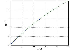 Kallikrein 8 (KLK8) ELISA Kit