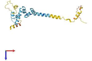 AlphaFold protein structure predicition of Human Recombinant DNAJC5G Protein, UniprotID Q8N7S2