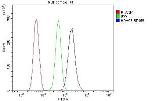 Flow Cytometry analysis of THP-1 cells using anti-HDAC5 antibody (ABIN7599922). (HDAC5 Antikörper  (AA 13-1107))