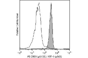 Flow Cytometry (FACS) image for anti-cAMP Responsive Element Binding Protein 1 (CREB1) (pSer133) antibody (PE) (ABIN1177047) (CREB1 Antikörper  (pSer133) (PE))