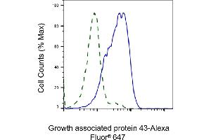 Validation of Growth associated protein 43 knockdown using flow cytometry. (Rekombinanter GAP43 Antikörper)