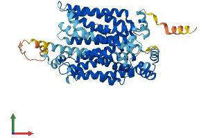 Protein Structure (PS) image for Solute Carrier Family 2 (Facilitated Glucose Transporter), Member 2 (SLC2A2) (AA 1-523) protein (His tag) (ABIN7562872)