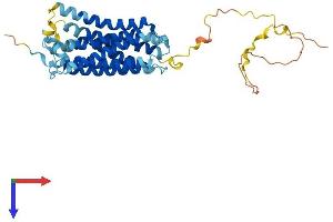GPRC5A Protein (AA 1-356) (His tag)