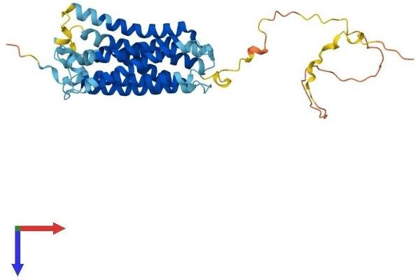 GPRC5A Protein (AA 1-356) (His tag)