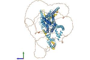 Protein Structure (PS) image for Transmembrane Channel-Like 5 (Tmc5) (AA 1-967) protein (His tag) (ABIN7557027)