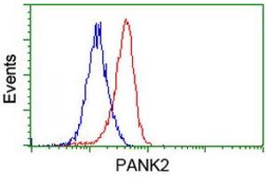 Flow cytometric Analysis of Jurkat cells, using anti-PANK2 antibody (ABIN2453418), (Red), compared to a nonspecific negative control antibody (ABIN2453418), (Blue).