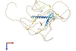 FAM149B1 Protein (AA 1-582) (His tag)