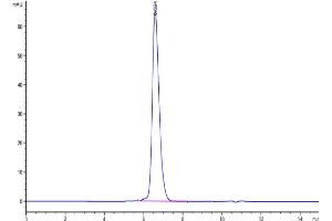 The purity of Human FGFR3 alpha (IIIb) is greater than 95 % as determined by SEC-HPLC.