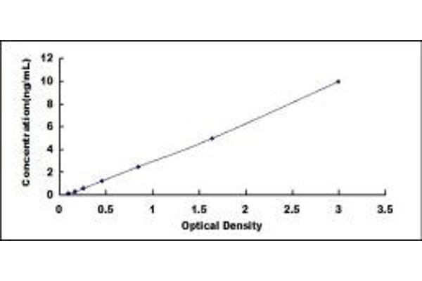 FKBP1B ELISA Kit