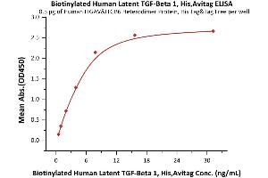 Immobilized Human ITGAV&ITGB6 Heterodimer Protein, His Tag&Tag Free (ABIN2870664,ABIN2870665) at 5 μg/mL (100 μL/well) can bind Biotinylated Human Latent  1, His,Avitag (ABIN6386432,ABIN6388257) with a linear range of 0.