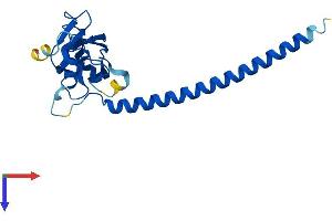 Protein Structure (PS) image for YEATS Domain Containing 4 (AA 1-227) protein (His tag) (ABIN7545214)