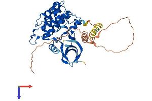 CK1 epsilon Protein (AA 1-416) (His tag)