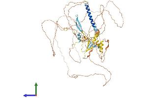 Protein Structure (PS) image for Chromosome 1 Open Reading Frame 103 (C1orf103) (AA 1-755) protein (His tag) (ABIN7559260)