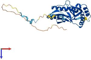 C16orf57 Protein (AA 1-265) (His tag)