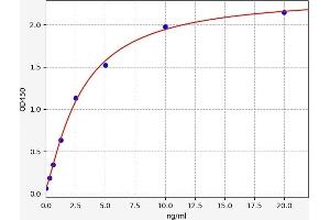 LIM Domain Kinase 1 ELISA Kit