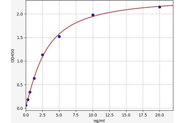 LIM Domain Kinase 1 ELISA Kit