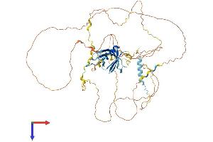 GAB3 Protein (AA 1-586) (His tag)