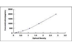 ELISA image for Chromogranin A (CHGA) ELISA Kit (ABIN414575)