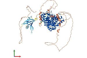 Protein Structure (PS) image for TBC1 Domain Family, Member 25 (TBC1D25) (AA 1-742) protein (His tag) (ABIN7561853)