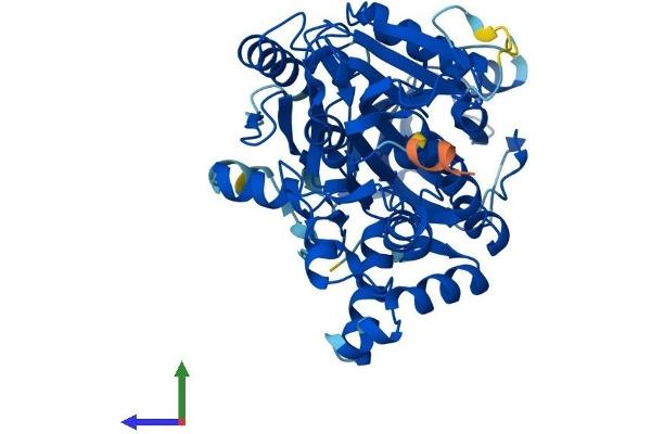 NSUN6 Protein (AA 1-476) (His tag)