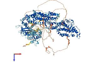 SOS1 Protein (AA 1-1319) (His tag)