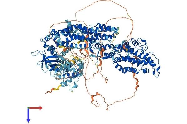 SOS1 Protein (AA 1-1319) (His tag)