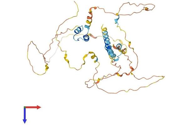MAMSTR Protein (AA 1-421) (His tag)