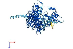 SLC27A2 Protein (AA 1-620) (His tag)