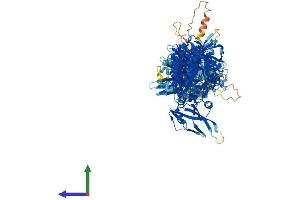 Protein Structure (PS) image for Janus Kinase 1 (JAK1) (AA 1-1154) protein (His tag) (ABIN7554205)