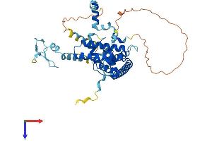 ZNHIT2 Protein (AA 1-403) (His tag)